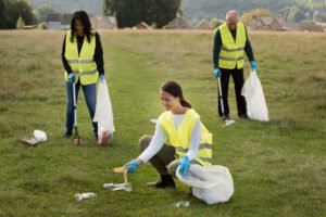 lot and land cleaning services